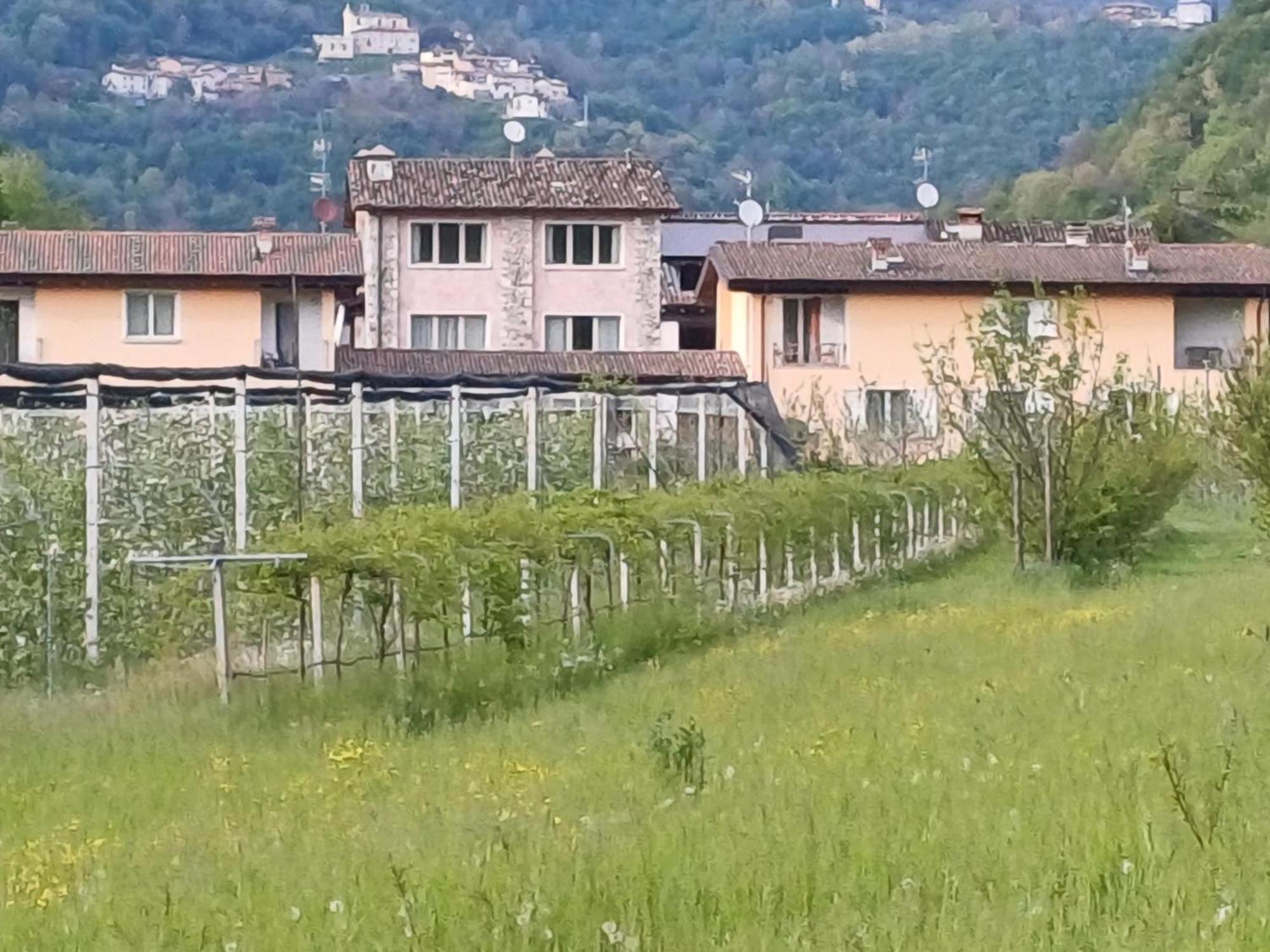 شقة Cascina Legnago Bilocale A 6 Chilometri Da Salo' Villanuova sul clisi المظهر الخارجي الصورة