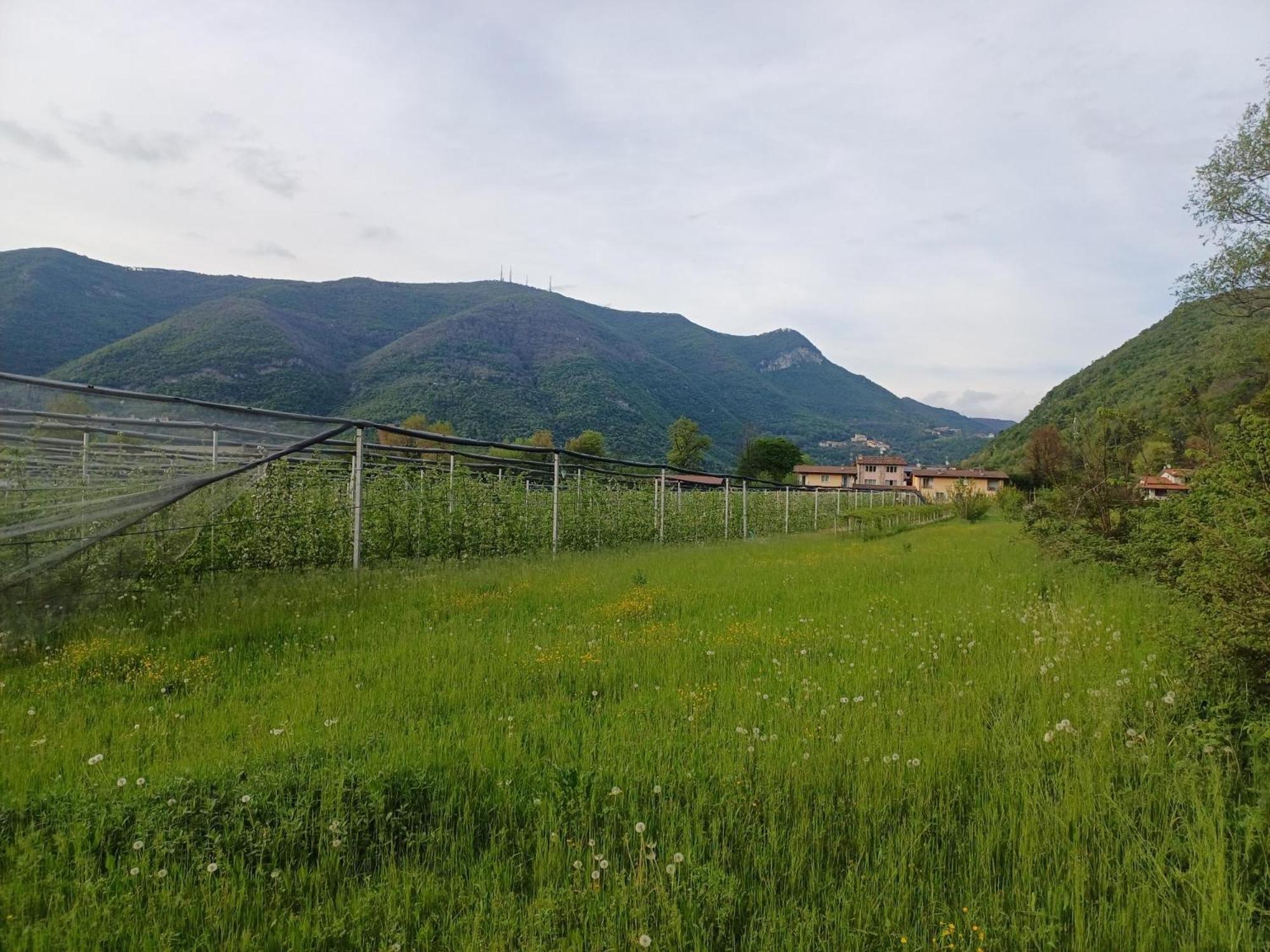 شقة Cascina Legnago Bilocale A 6 Chilometri Da Salo' Villanuova sul clisi المظهر الخارجي الصورة