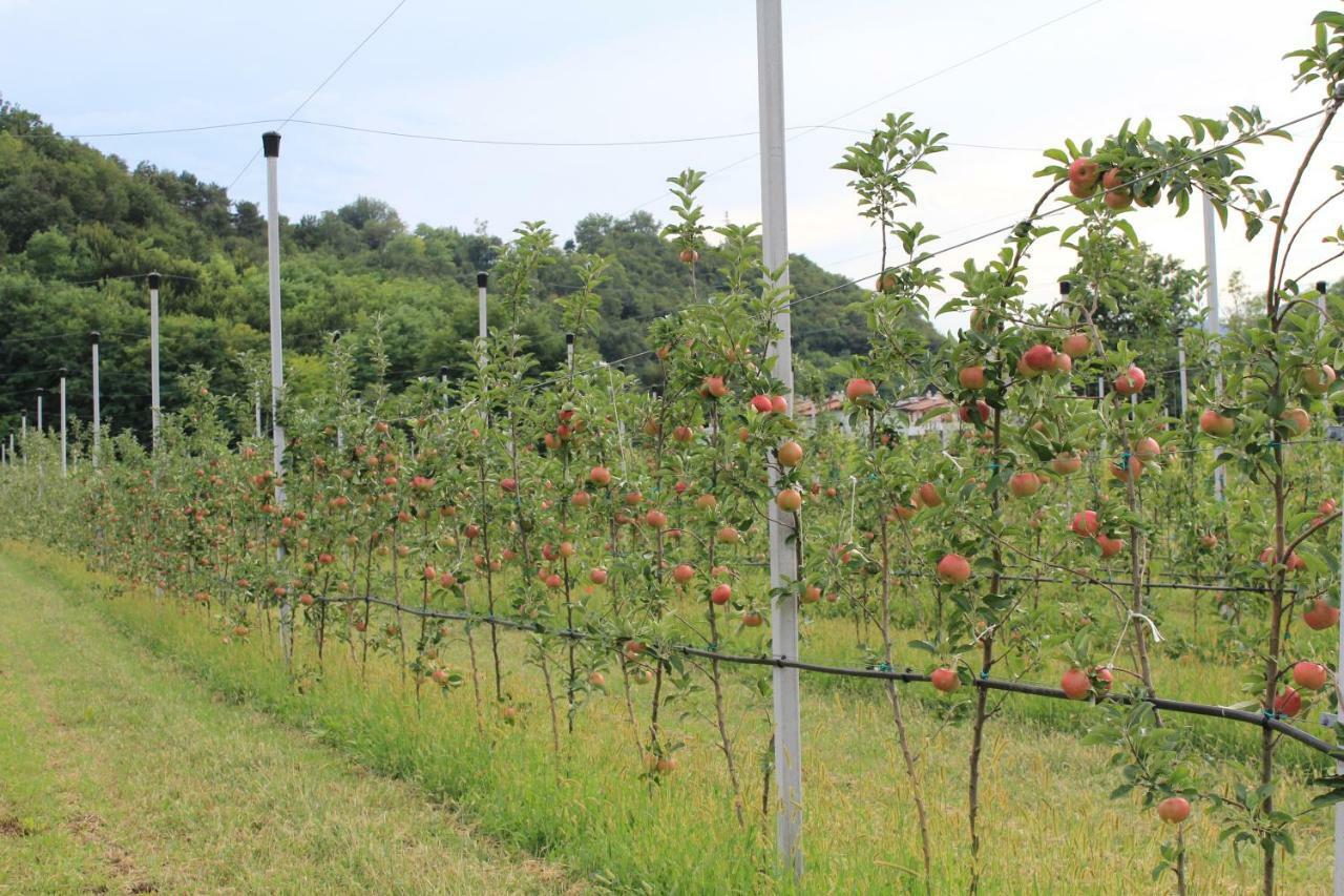 شقة Cascina Legnago Bilocale A 6 Chilometri Da Salo' Villanuova sul clisi المظهر الخارجي الصورة