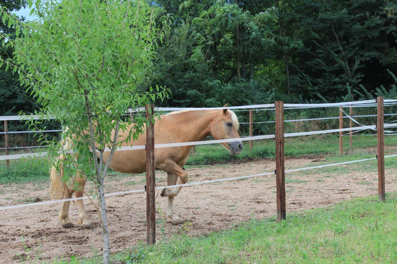 شقة Cascina Legnago Bilocale A 6 Chilometri Da Salo' Villanuova sul clisi المظهر الخارجي الصورة
