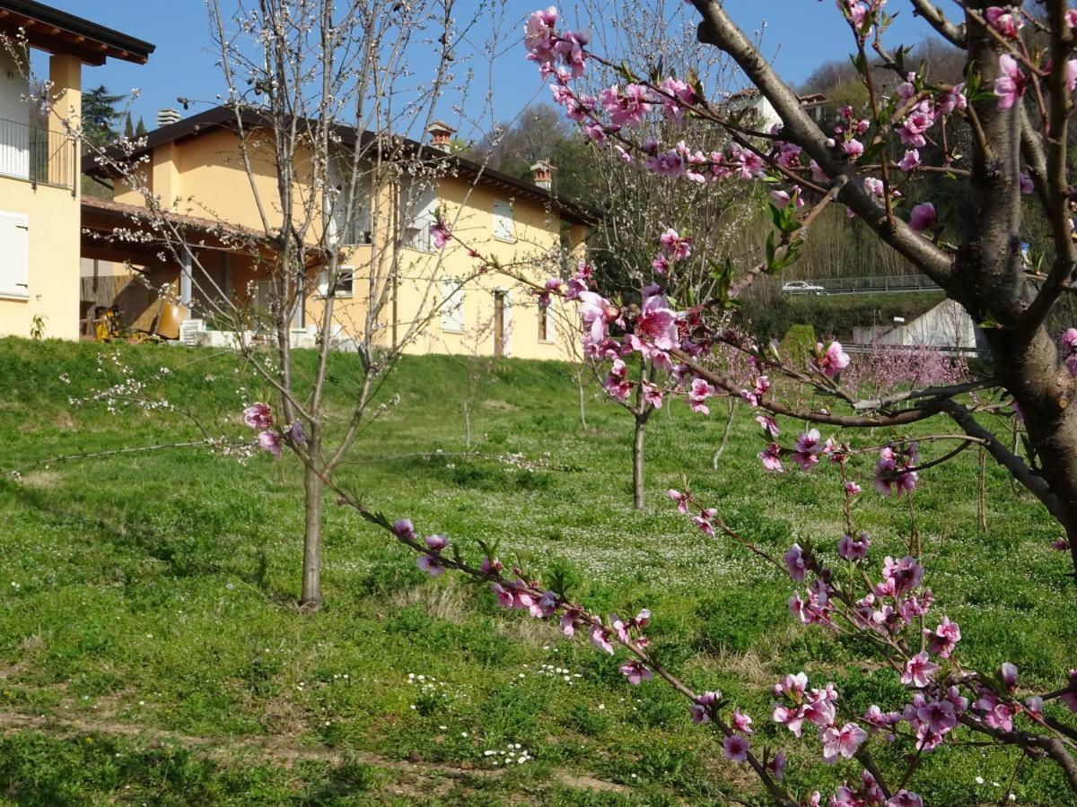 شقة Cascina Legnago Bilocale A 6 Chilometri Da Salo' Villanuova sul clisi المظهر الخارجي الصورة